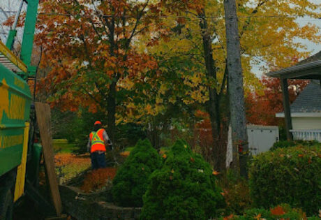 abattage-par-nacelle